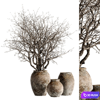 Indoor stem and branch potted plants 3D Model Vray, Corona