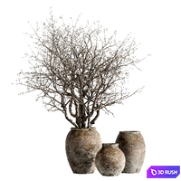 Indoor stem and branch potted plants 3D Model Vray, Corona