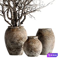 Indoor stem and branch potted plants 3D Model Vray, Corona