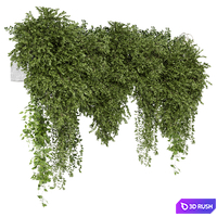 Indoor Hanging Plants in Gray Pot - Set 2210 3D Model Vray, Corona