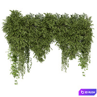 Indoor Hanging Plants in Gray Pot - Set 2210 3D Model Vray, Corona