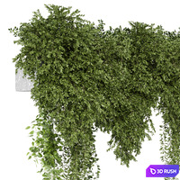 Indoor Hanging Plants in Gray Pot - Set 2210 3D Model Vray, Corona