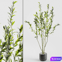 Branches in vases 56 3D Model Vray, Corona