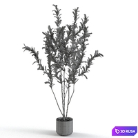 Branches in vases 56 3D Model Vray, Corona