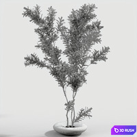 Branches in vases 58 3D Model Vray, Corona