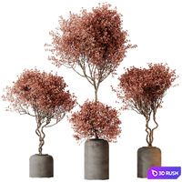 HQ HousePlants Mission Kalamata Leccino Arbequina Wilsonii Chemlali Olive Set 34 3D Model Vray, Corona