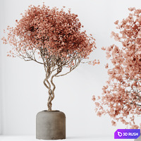 HQ HousePlants Mission Kalamata Leccino Arbequina Wilsonii Chemlali Olive Set 34 3D Model Vray, Corona