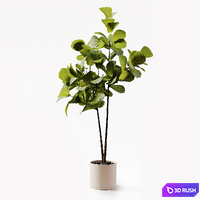 Indoor Plant 25 3D Model Vray, Corona