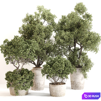 Outdoor plant set 012 3D Model Vray, Corona