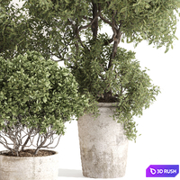 Outdoor plant set 012 3D Model Vray, Corona