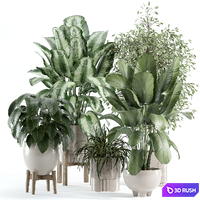 Indoor plant 246 3D Model Vray, Corona