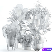 Indoor plant 246 3D Model Vray, Corona
