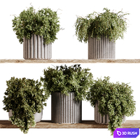 Indoor plants 97- Hanging indoor plant 3D Model Vray, Corona