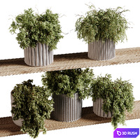 Indoor plants 97- Hanging indoor plant 3D Model Vray, Corona