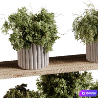 Indoor plants 97- Hanging indoor plant 3D Model Vray, Corona