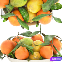 Bowl of lemon mandarin and orange 3D Model Vray, Corona
