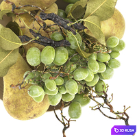 Bowl of pearls and grapes 3D Model Vray, Corona