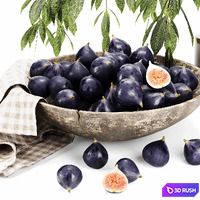 Fruit set figs purple 3D Model Corona
