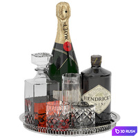 Tray of whiskey and champagne 3D Model Vray, Corona