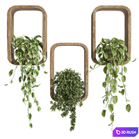 hanging plants on a box 3D Model Corona