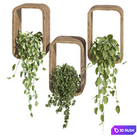 hanging plants on a box 3D Model Corona