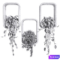 hanging plants on a box 3D Model Corona