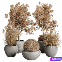 Dry Grass and Trees in a Concrete Pot - Indoor plant autumn set 570 3D Model Vray, Corona