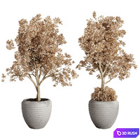 Dry Grass and Trees in a Concrete Pot - Indoor plant autumn set 570 3D Model Vray, Corona