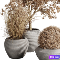 Dry Grass and Trees in a Concrete Pot - Indoor plant autumn set 570 3D Model Vray, Corona