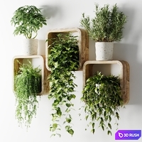 Houseplants in square pots 3D Model Vray, Corona