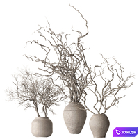 Indoor Plant 842 - Dry Branch 3D Model Vray, Corona