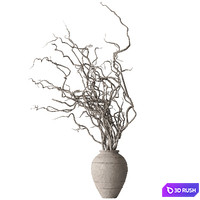 Indoor Plant 842 - Dry Branch 3D Model Vray, Corona