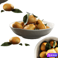 Bowls of tangerines 3D Model Corona