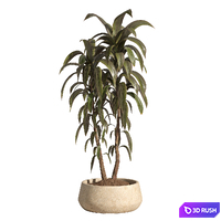Indoor Plant Set 89 3D Model Corona