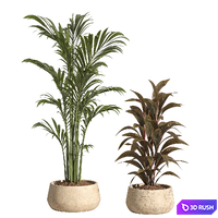 Indoor Plant Set 89 3D Model Corona