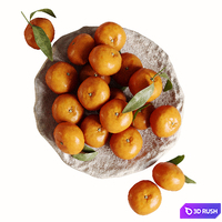 Tangerines in a bowl 3D Model Vray, Corona