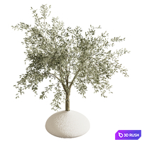 Indoor plant stand 81 3D Model Vray, Corona