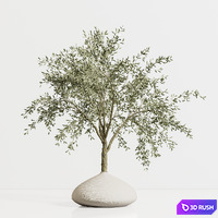 Indoor plant stand 81 3D Model Vray, Corona