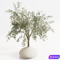 Indoor plant stand 81 3D Model Vray, Corona