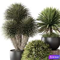 Indoor Plant 03 3D Model Vray, Corona