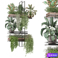 Indoor plants in metal box 1580 3D Model Vray, Corona