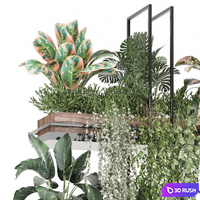 Indoor plants in metal box 1580 3D Model Vray, Corona