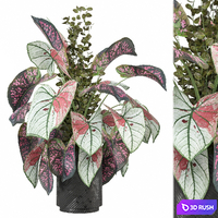 Indoor Plants Collection 1585 3D Model Vray, Corona