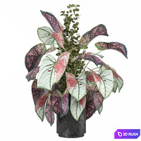 Indoor Plants Collection 1585 3D Model Vray, Corona