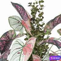 Indoor Plants Collection 1585 3D Model Vray, Corona