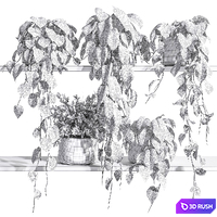 Plants on Shelf 26 3D Model Corona