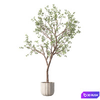 thumb image