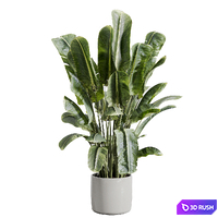 thumb image