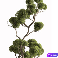 thumb image