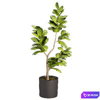 thumb image